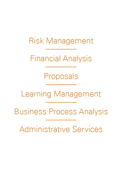 Risk Management Financial Analysis Proposals Learning Management Business Process Analysis Administrative Services